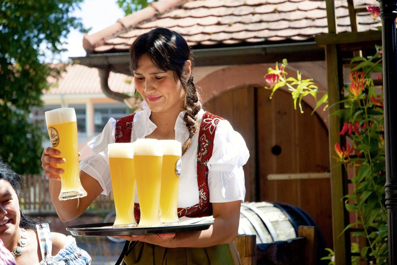 Landgasthaus Roemerhof Obernburg am Main Zewnętrze zdjęcie